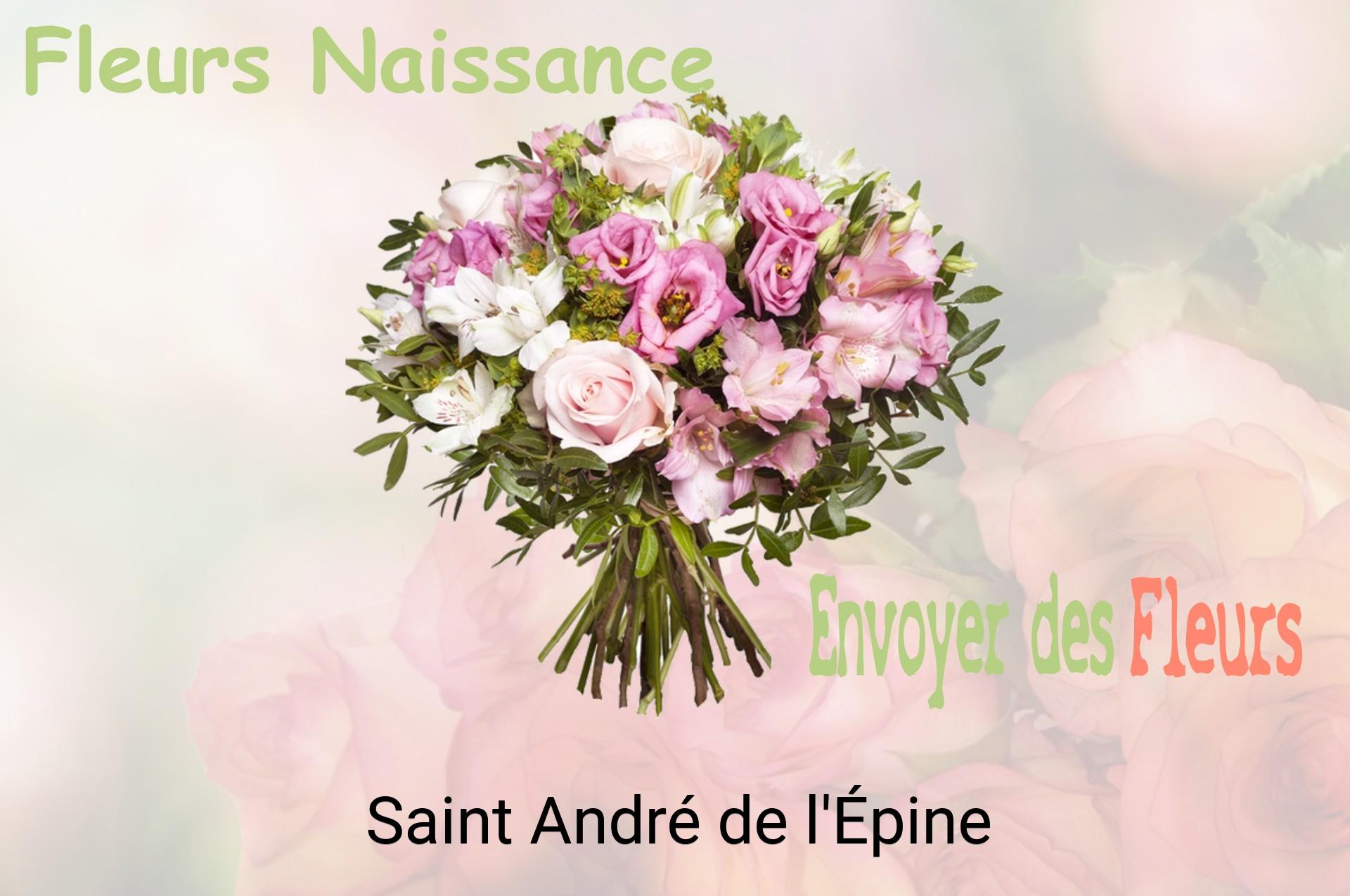 Bouquet de fleurs de naissance livré à Saint-André-de-l'Épine