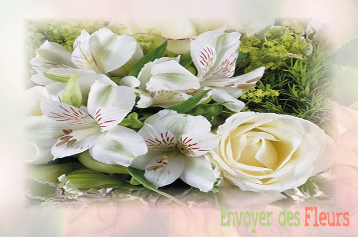 envoyer des fleurs à à SAINT-ANDRE-DE-L-EPINE